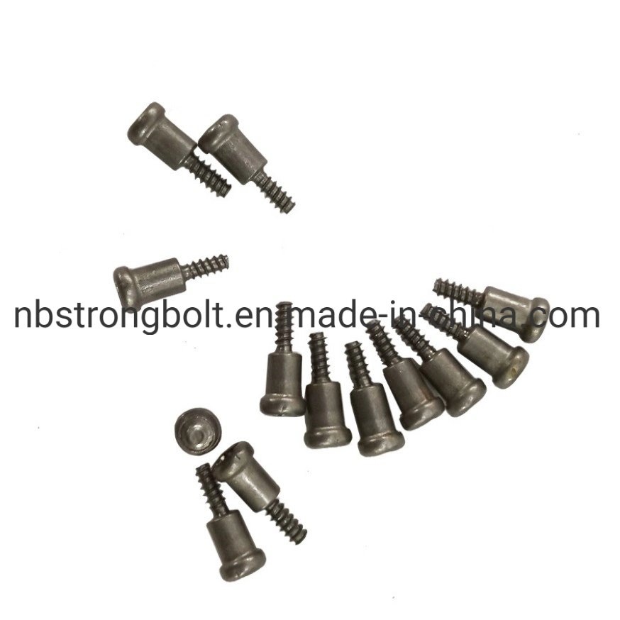 Special Step Shaped Screw Non- Standard Screw