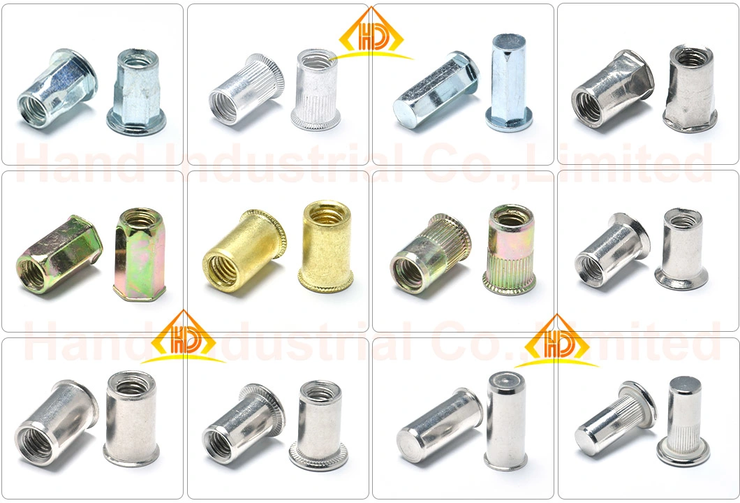 Stainless Steel 18-8 Metric M4 M6 M8 Flat Head with Plastic Ring Knurled Body Rivet Nuts with Close End