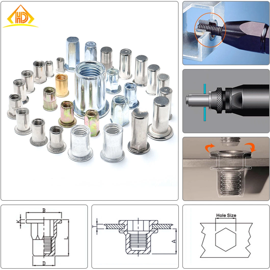 Stainless Steel 18-8 Metric M4 M6 M8 Flat Head with Plastic Ring Knurled Body Rivet Nuts with Close End