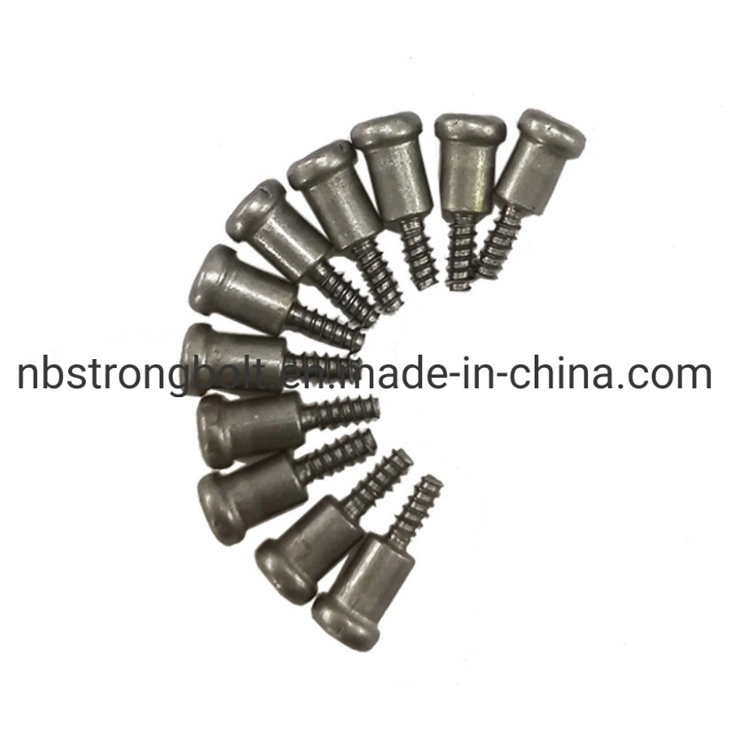 Special Step Shaped Screw Non- Standard Screw