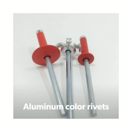 Aluminum Steel Flower Shaped Peel Type Blind Rivet