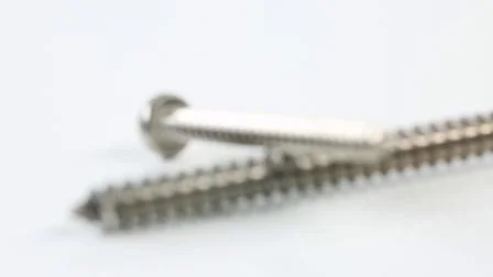 Stainless Steel Screw Stock Manufacturer