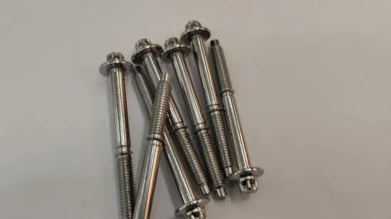 Chinese Stainless Steel Bolt Manufacturer, Customized Special